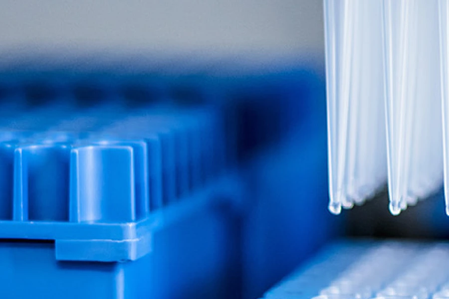 Close-up of clear plastic pipette tips above a blue plastic rack, commonly used in laboratory settings.